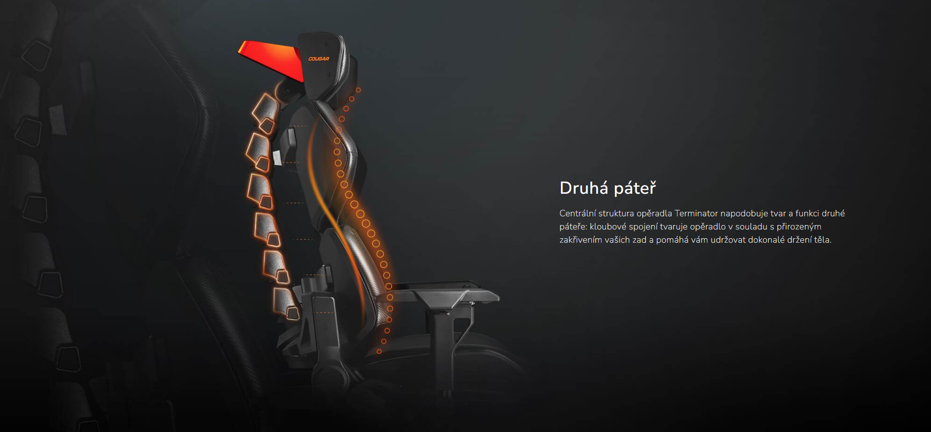 Snímek obrazovky 2026-03-11 144413